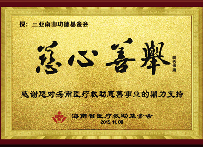 海南三亞南山功德基金會獲海南醫療救助基金會頒發“慈心善舉”牌匾