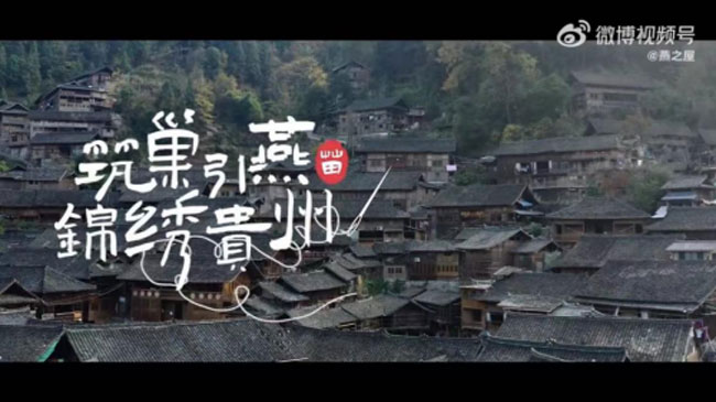 新浪公益推出公益短片：講述燕之屋筑巢引燕，錦繡貴州的公益之路